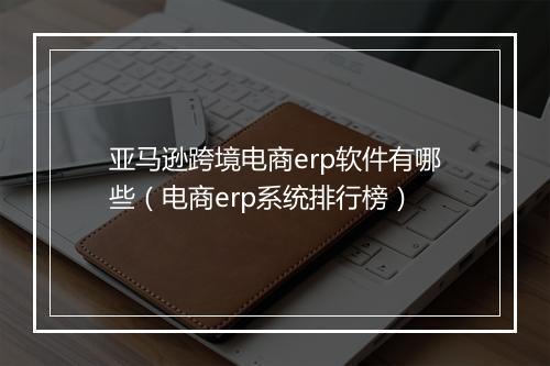 亚马逊跨境电商erp软件有哪些（电商erp系统排行榜）