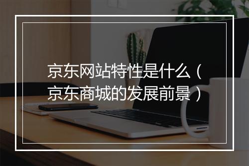 京东网站特性是什么（京东商城的发展前景）