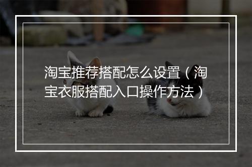 淘宝推荐搭配怎么设置（淘宝衣服搭配入口操作方法）