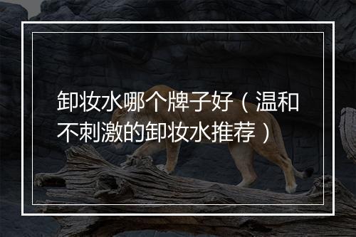 卸妆水哪个牌子好（温和不刺激的卸妆水推荐）