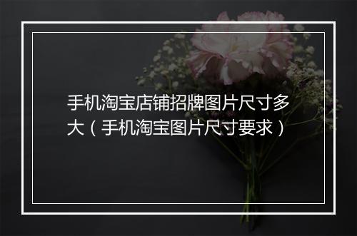 手机淘宝店铺招牌图片尺寸多大（手机淘宝图片尺寸要求）