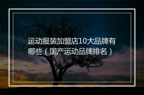 运动服装加盟店10大品牌有哪些（国产运动品牌排名）