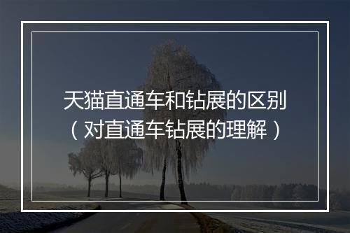 天猫直通车和钻展的区别（对直通车钻展的理解）