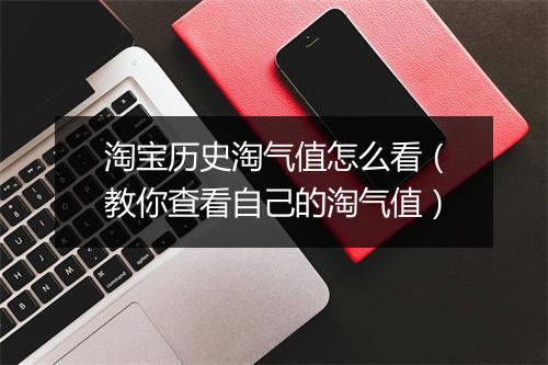 淘宝历史淘气值怎么看（教你查看自己的淘气值）