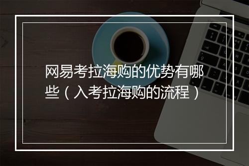 网易考拉海购的优势有哪些（入考拉海购的流程）