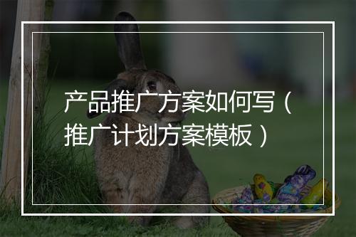 产品推广方案如何写（推广计划方案模板）