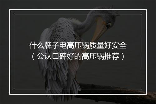 什么牌子电高压锅质量好安全（公认口碑好的高压锅推荐）