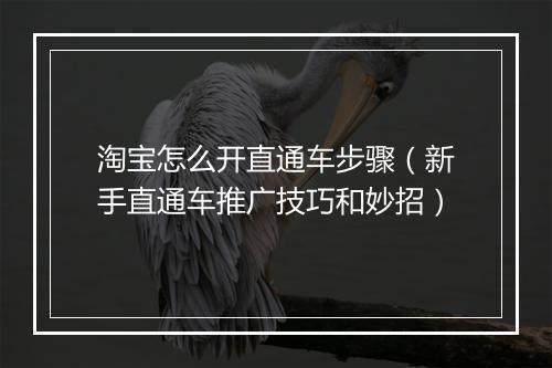 淘宝怎么开直通车步骤（新手直通车推广技巧和妙招）