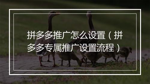 拼多多推广怎么设置（拼多多专属推广设置流程）