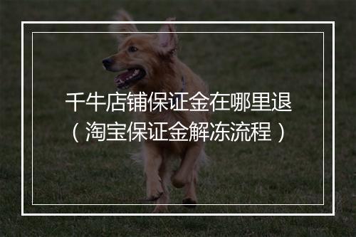 千牛店铺保证金在哪里退（淘宝保证金解冻流程）