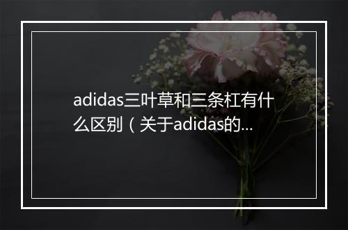 adidas三叶草和三条杠有什么区别（关于adidas的相关知识）