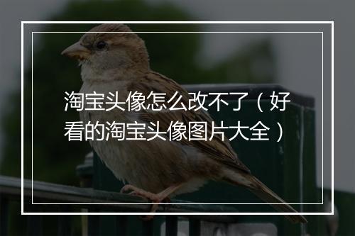 淘宝头像怎么改不了（好看的淘宝头像图片大全）