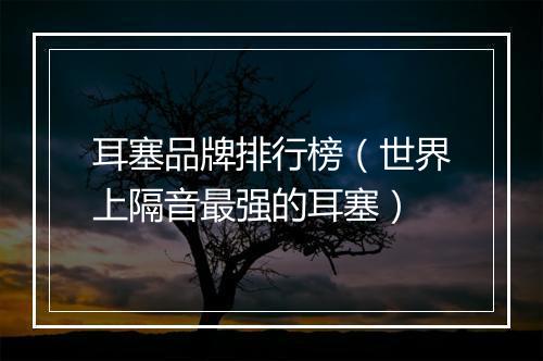 耳塞品牌排行榜（世界上隔音最强的耳塞）