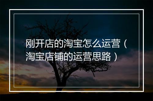 刚开店的淘宝怎么运营（淘宝店铺的运营思路）