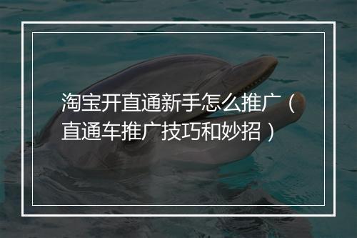 淘宝开直通新手怎么推广（直通车推广技巧和妙招）