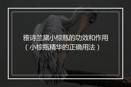 雅诗兰黛小棕瓶的功效和作用（小棕瓶精华的正确用法）