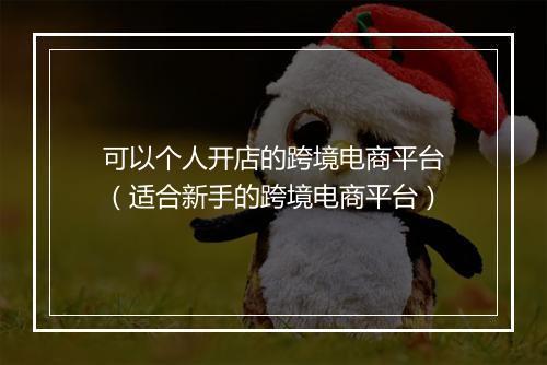 可以个人开店的跨境电商平台（适合新手的跨境电商平台）