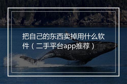 把自己的东西卖掉用什么软件（二手平台app推荐）