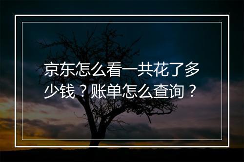 京东怎么看一共花了多少钱？账单怎么查询？