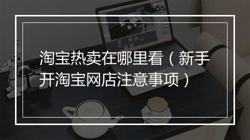 淘宝热卖在哪里看（新手开淘宝网店注意事项）