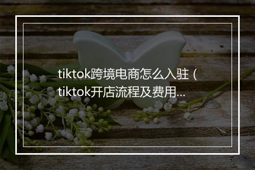 tiktok跨境电商怎么入驻（tiktok开店流程及费用）