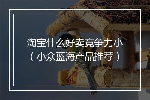 淘宝什么好卖竞争力小（小众蓝海产品推荐）