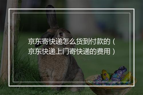 京东寄快递怎么货到付款的（京东快递上门寄快递的费用）