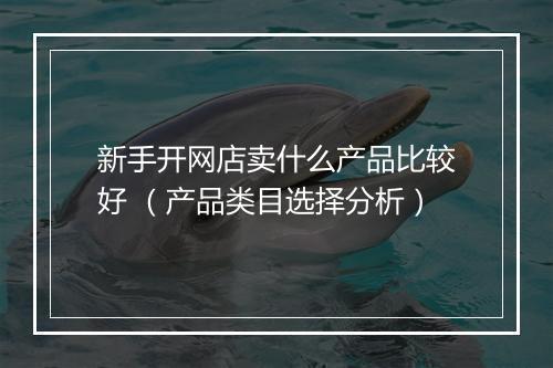 新手开网店卖什么产品比较好 （产品类目选择分析）