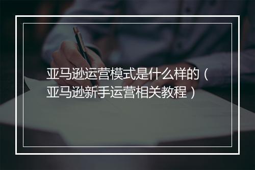 亚马逊运营模式是什么样的（亚马逊新手运营相关教程）