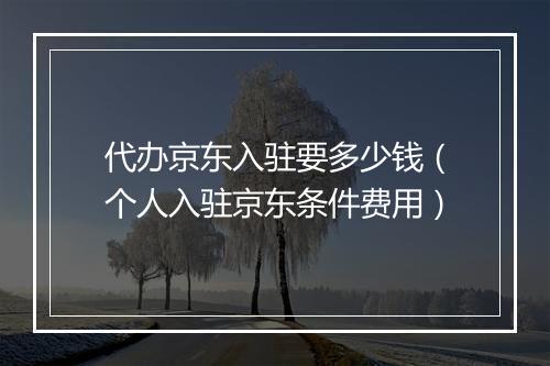 代办京东入驻要多少钱（个人入驻京东条件费用）