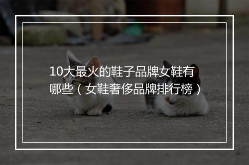 10大最火的鞋子品牌女鞋有哪些（女鞋奢侈品牌排行榜）