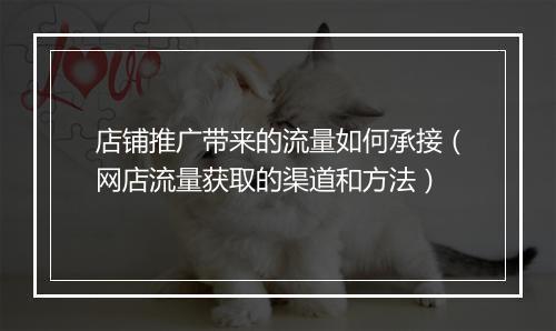 店铺推广带来的流量如何承接（网店流量获取的渠道和方法）