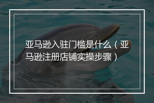 亚马逊入驻门槛是什么（亚马逊注册店铺实操步骤）
