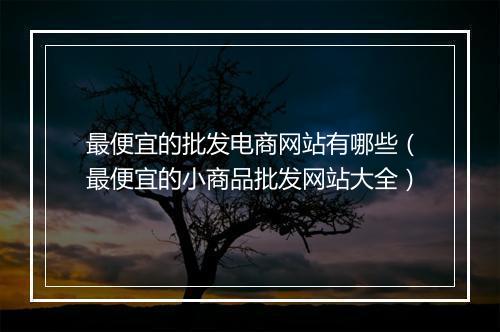 最便宜的批发电商网站有哪些（最便宜的小商品批发网站大全）