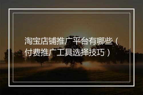 淘宝店铺推广平台有哪些（付费推广工具选择技巧）