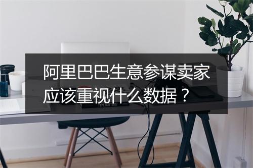 阿里巴巴生意参谋卖家应该重视什么数据？