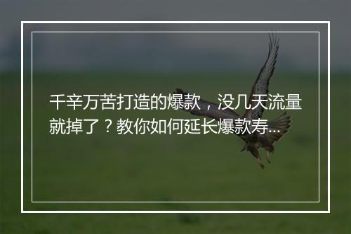 千辛万苦打造的爆款，没几天流量就掉了？教你如何延长爆款寿命！