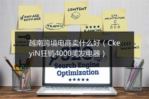 越南跨境电商卖什么好（CkeyiN狂销4000美发电器）