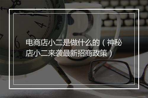 电商店小二是做什么的（神秘店小二来袭最新招商政策）