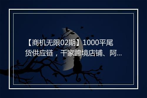 【商机无限02期】1000平尾货供应链，千家跨境店铺、阿里前十招商团队等资源为你推荐