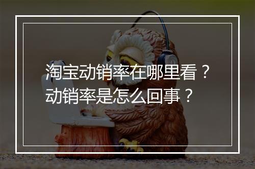 淘宝动销率在哪里看？动销率是怎么回事？