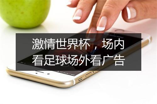 激情世界杯，场内看足球场外看广告