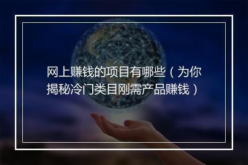 网上赚钱的项目有哪些（为你揭秘冷门类目刚需产品赚钱）