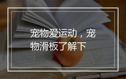 宠物爱运动，宠物滑板了解下