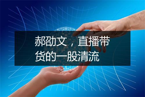 郝劭文，直播带货的一股清流