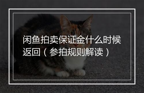闲鱼拍卖保证金什么时候返回（参拍规则解读）