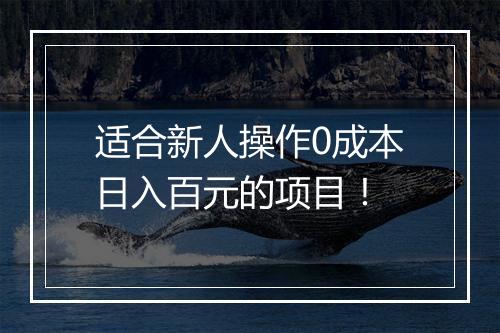 适合新人操作0成本日入百元的项目！