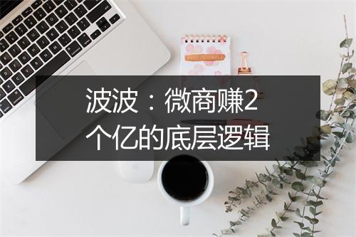 波波：微商赚2个亿的底层逻辑