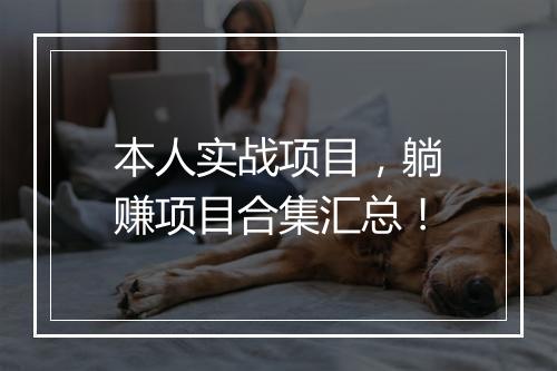本人实战项目，躺赚项目合集汇总！