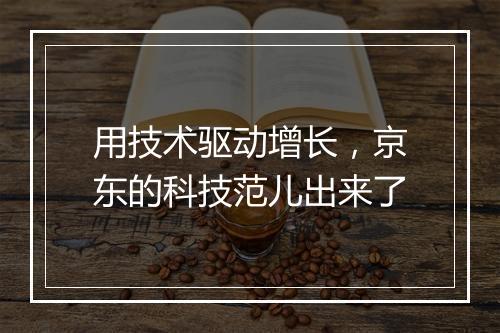 用技术驱动增长，京东的科技范儿出来了